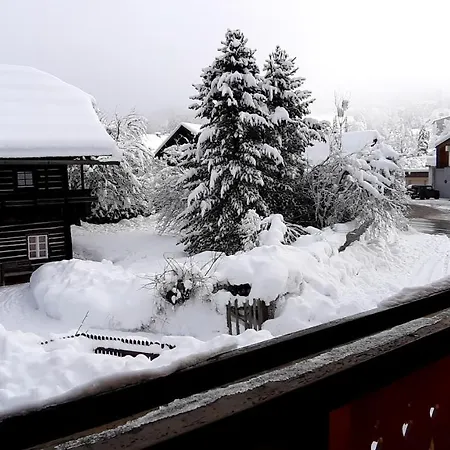 Schwalbennest Chalet *