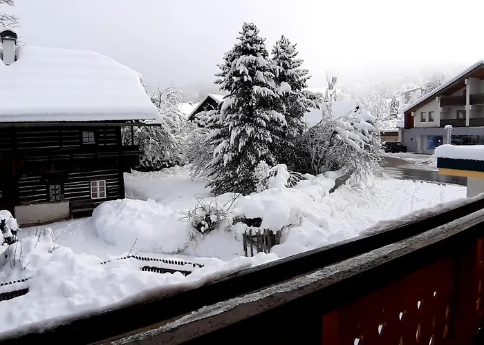 Schwalbennest Alpstuga *